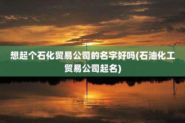 想起个石化贸易公司的名字好吗(石油化工贸易公司起名)