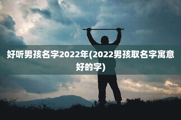 好听男孩名字2022年(2022男孩取名字寓意好的字)