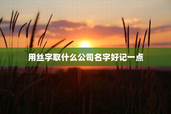 用丝字取什么公司名字好记一点
