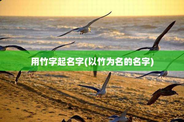 用竹字起名字(以竹为名的名字)