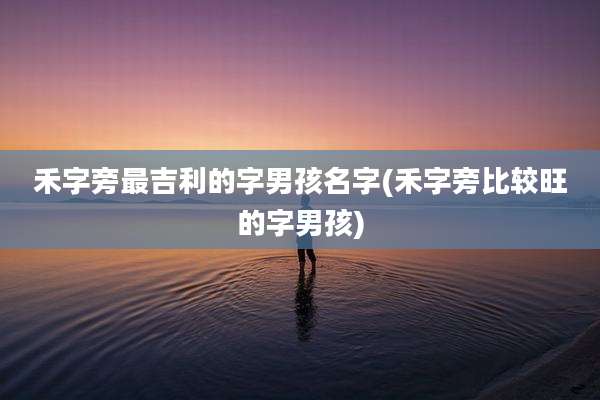 禾字旁最吉利的字男孩名字(禾字旁比较旺的字男孩)