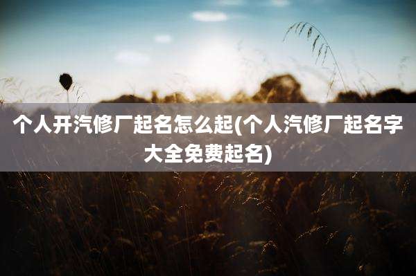 个人开汽修厂起名怎么起(个人汽修厂起名字大全免费起名)