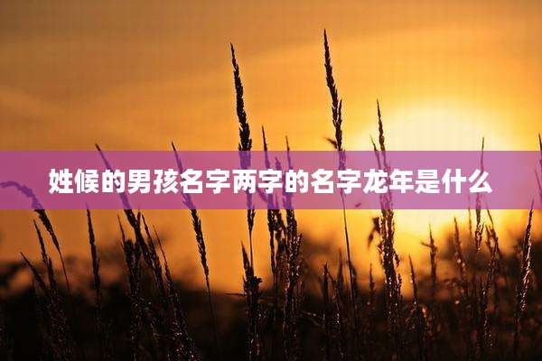 姓候的男孩名字两字的名字龙年是什么