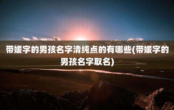 带媛字的男孩名字清纯点的有哪些(带媛字的男孩名字取名)