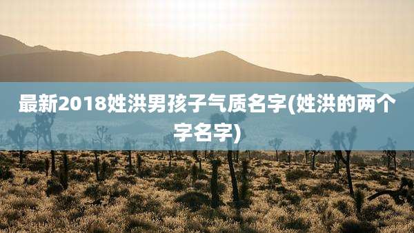 最新2018姓洪男孩子气质名字(姓洪的两个字名字)