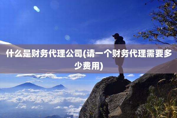 什么是财务代理公司(请一个财务代理需要多少费用)