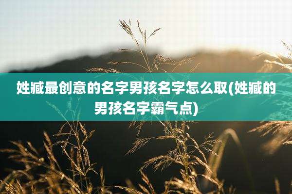 姓臧最创意的名字男孩名字怎么取(姓臧的男孩名字霸气点)