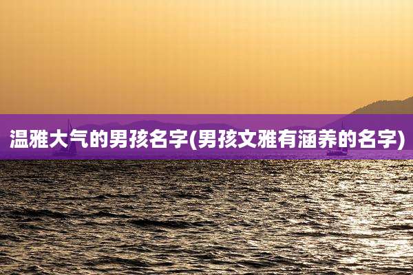 温雅大气的男孩名字(男孩文雅有涵养的名字)