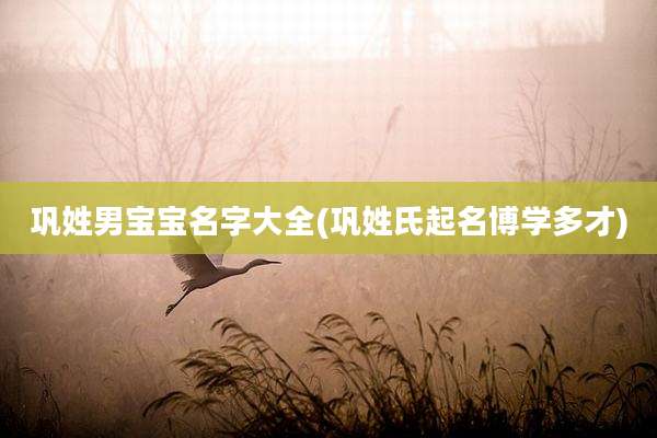 巩姓男宝宝名字大全(巩姓氏起名博学多才)