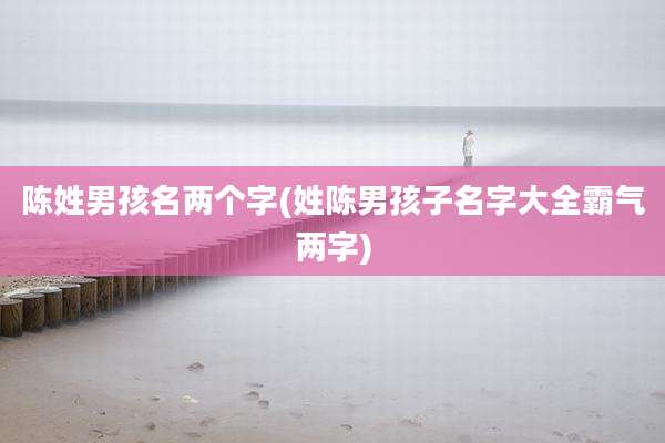 陈姓男孩名两个字(姓陈男孩子名字大全霸气两字)