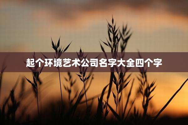 起个环境艺术公司名字大全四个字