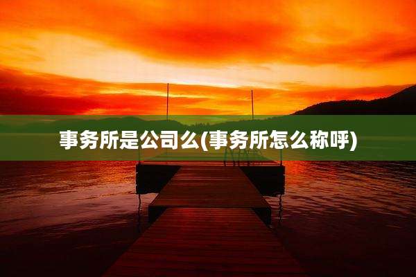 事务所是公司么(事务所怎么称呼)