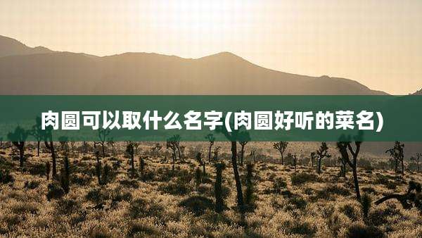 肉圆可以取什么名字(肉圆好听的菜名)