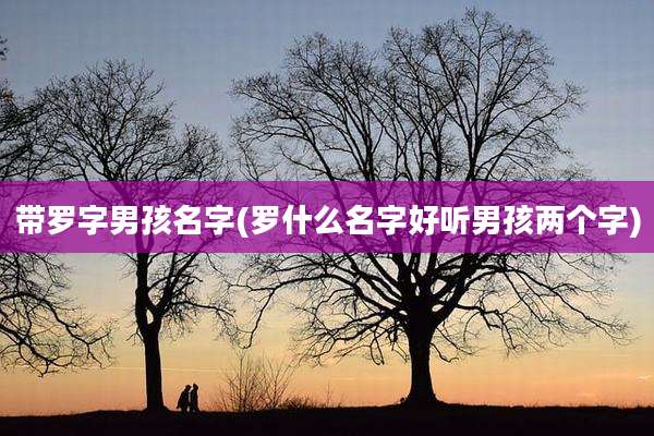 带罗字男孩名字(罗什么名字好听男孩两个字)