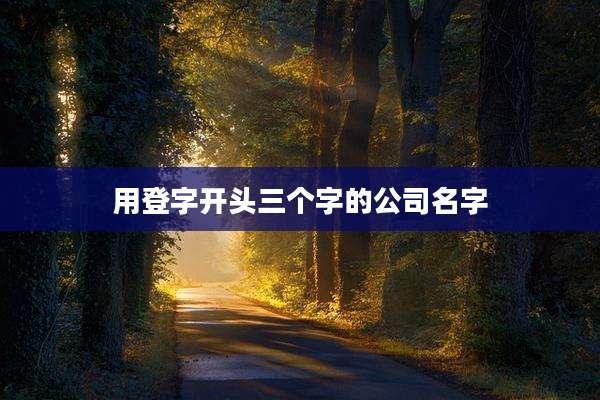 用登字开头三个字的公司名字
