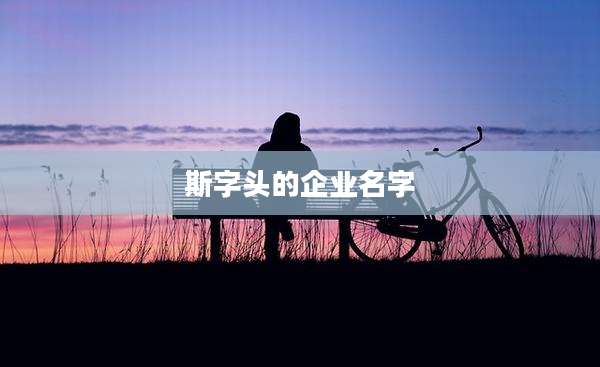 斯字头的企业名字