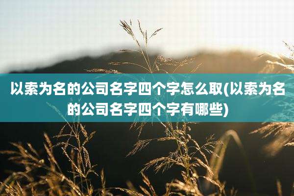 以索为名的公司名字四个字怎么取(以索为名的公司名字四个字有哪些)