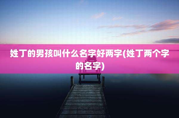 姓丁的男孩叫什么名字好两字(姓丁两个字的名字)
