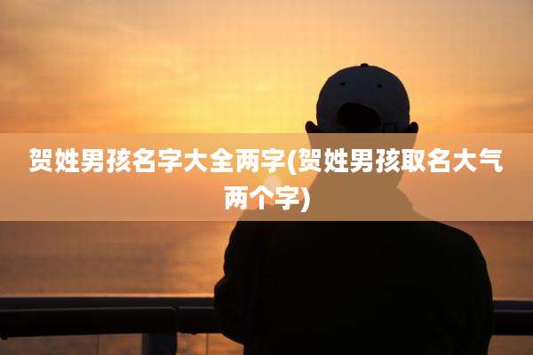 贺姓男孩名字大全两字(贺姓男孩取名大气两个字)