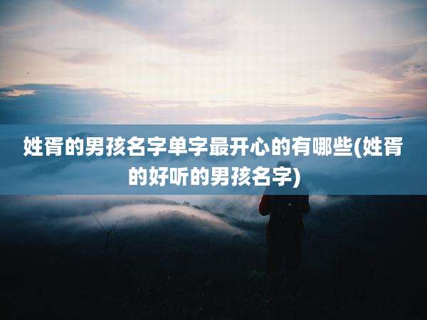 姓胥的男孩名字单字最开心的有哪些(姓胥的好听的男孩名字)
