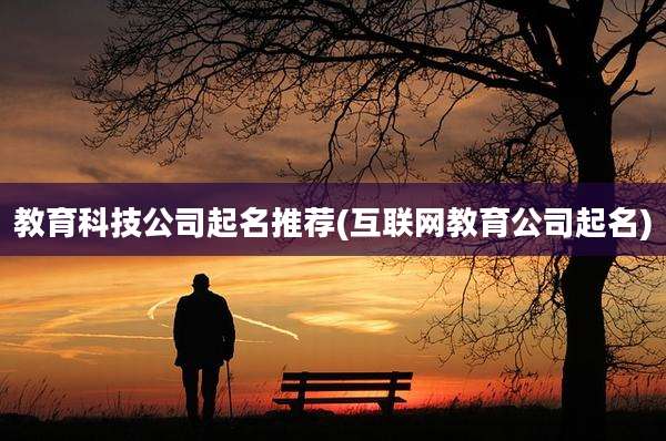 教育科技公司起名推荐(互联网教育公司起名)