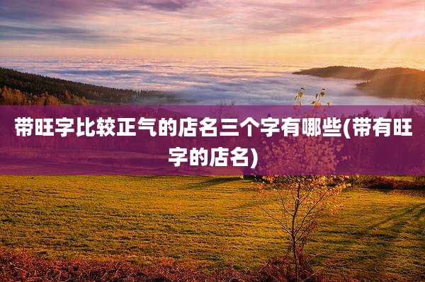 带旺字比较正气的店名三个字有哪些(带有旺字的店名)
