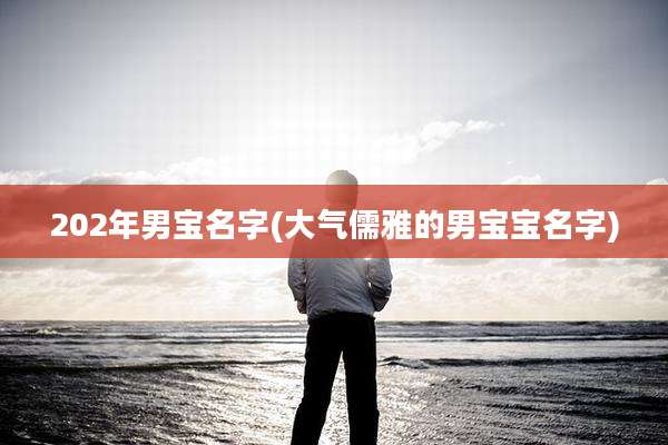 202年男宝名字(大气儒雅的男宝宝名字)