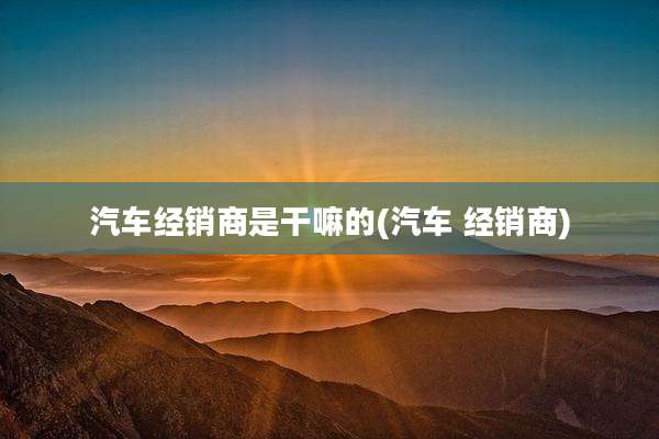 汽车经销商是干嘛的(汽车 经销商)