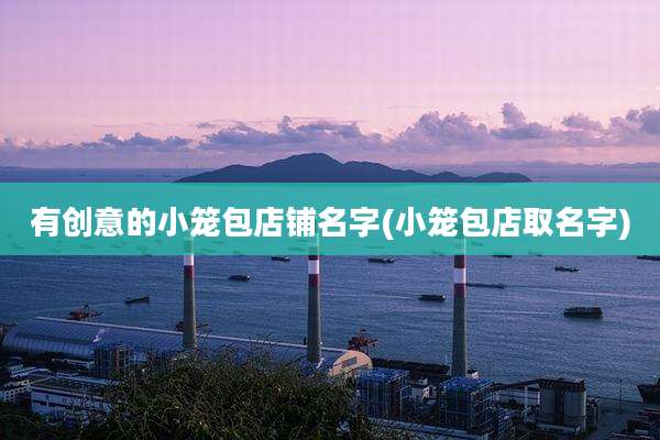 有创意的小笼包店铺名字(小笼包店取名字)