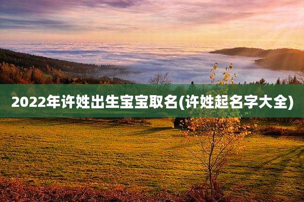 2022年许姓出生宝宝取名(许姓起名字大全)