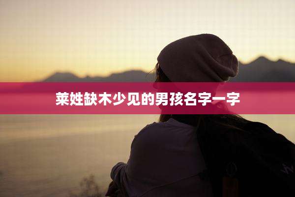 莱姓缺木少见的男孩名字一字