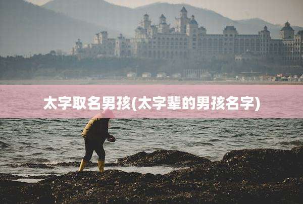 太字取名男孩(太字辈的男孩名字)