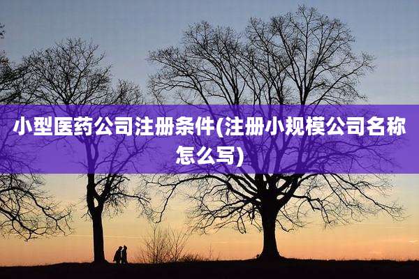 小型医药公司注册条件(注册小规模公司名称怎么写)