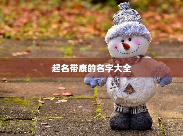 起名带康的名字大全