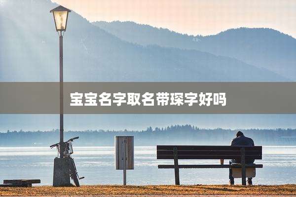 宝宝名字取名带琛字好吗