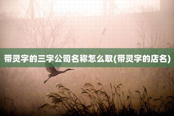带灵字的三字公司名称怎么取(带灵字的店名)
