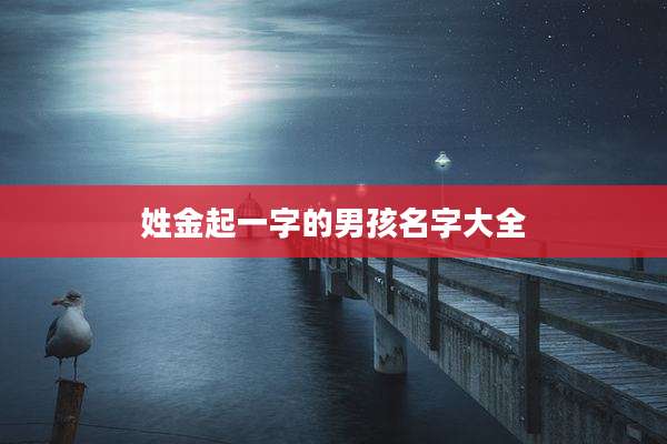 姓金起一字的男孩名字大全