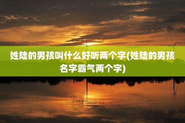 姓陆的男孩叫什么好听两个字(姓陆的男孩名字霸气两个字)
