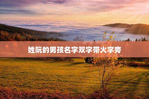 姓阮的男孩名字双字带火字旁