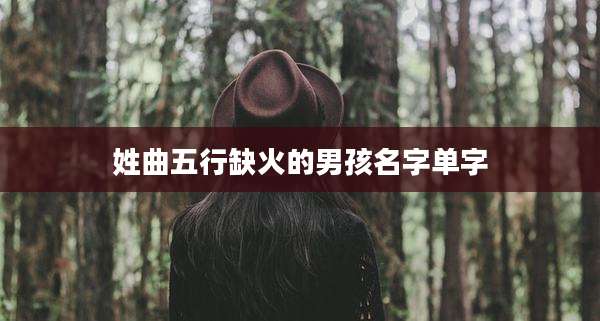 姓曲五行缺火的男孩名字单字