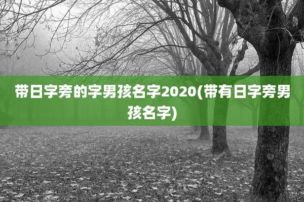 带日字旁的字男孩名字2020(带有日字旁男孩名字)