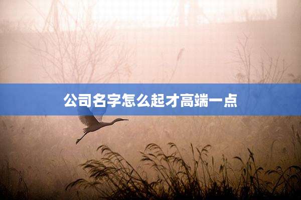 公司名字怎么起才高端一点