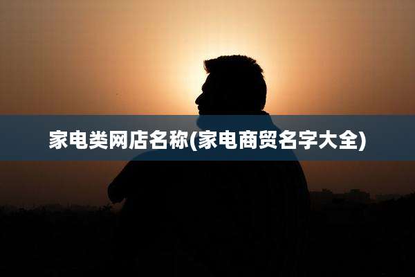 家电类网店名称(家电商贸名字大全)