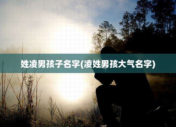 姓凌男孩子名字(凌姓男孩大气名字)