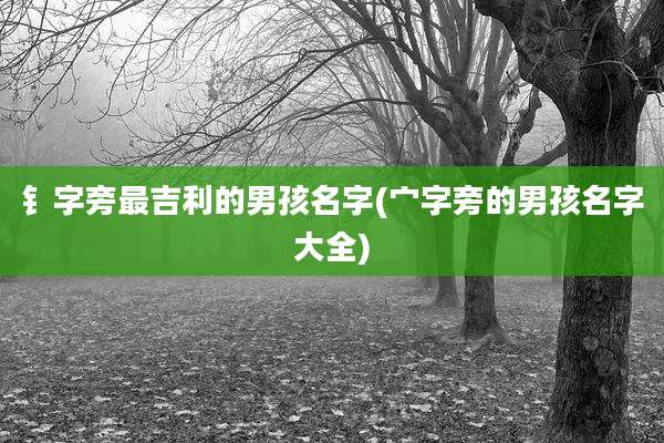 钅字旁最吉利的男孩名字(宀字旁的男孩名字大全)