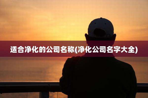 适合净化的公司名称(净化公司名字大全)