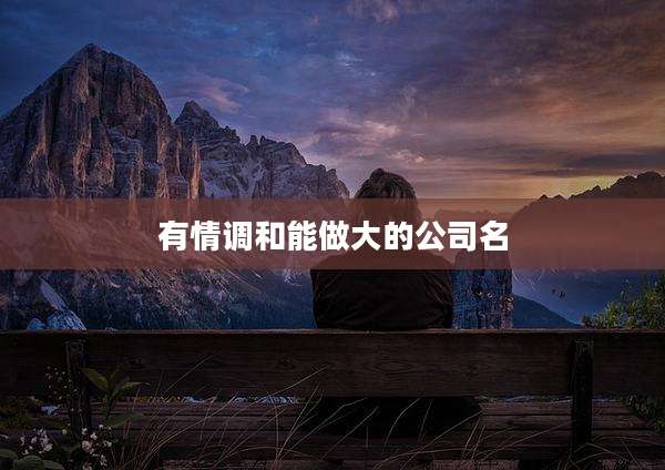 有情调和能做大的公司名