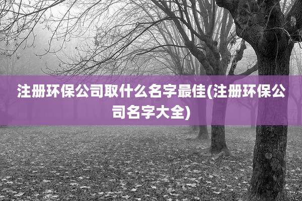 注册环保公司取什么名字最佳(注册环保公司名字大全)