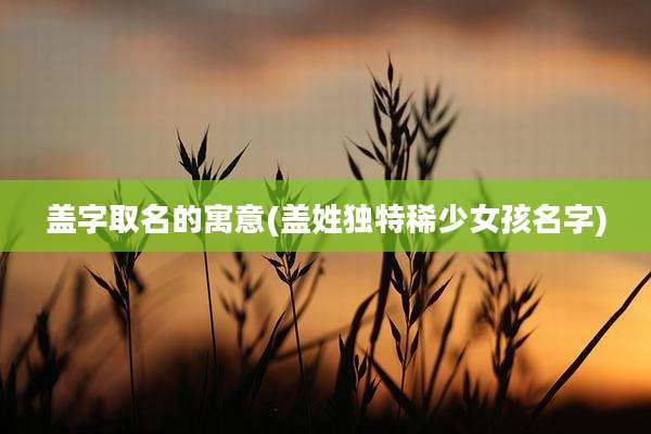 盖字取名的寓意(盖姓独特稀少女孩名字)