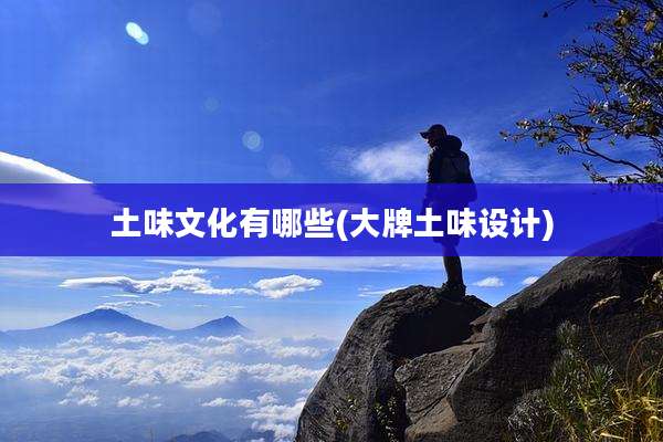 土味文化有哪些(大牌土味设计)
